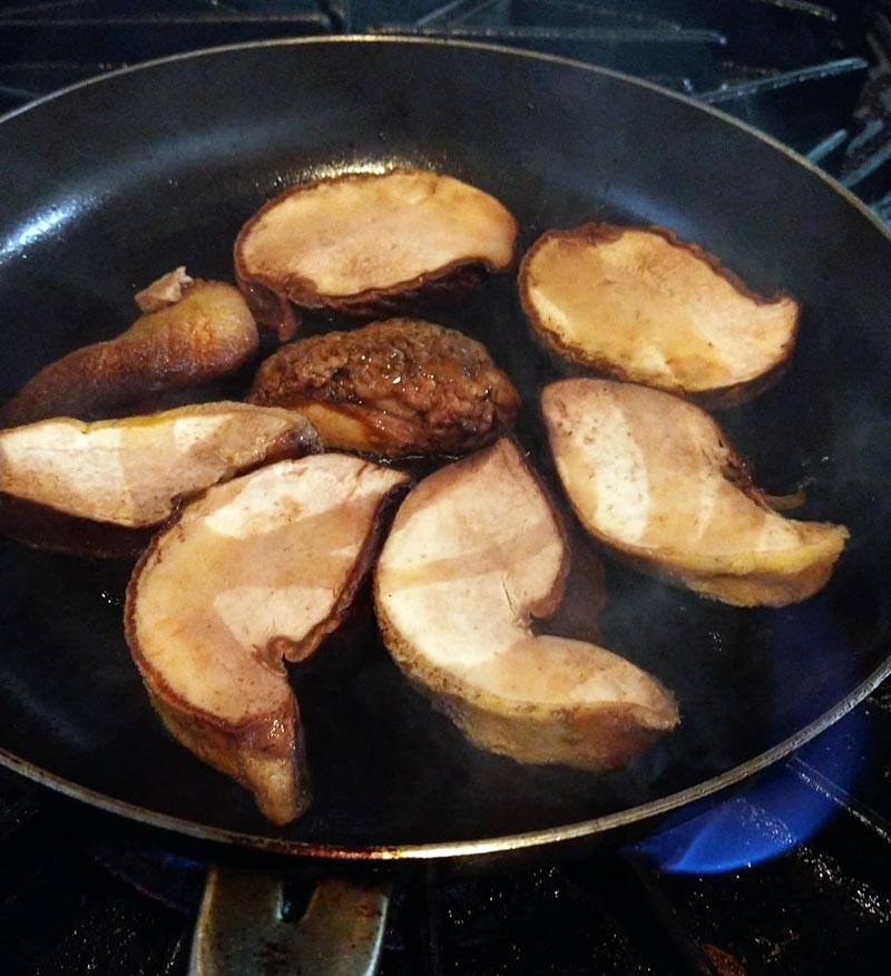 Medallions of Fistulina Antarctica confit in duck fat.