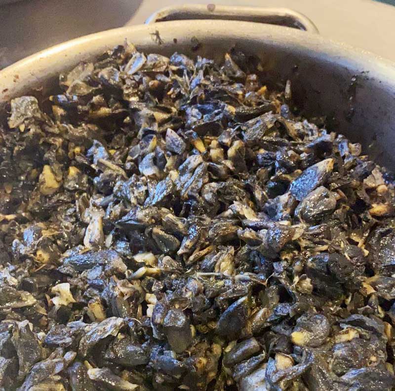 Huitlacoche, or Corn mushrooms