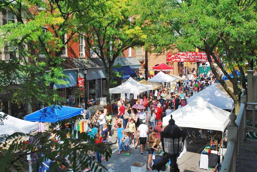 The Fascinating World of Mushroom Festivals