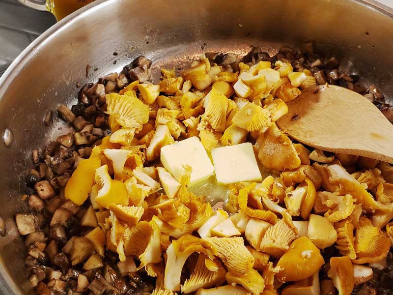 Recipe for Chanterelle mushroom stuffing with apples and cranberry.