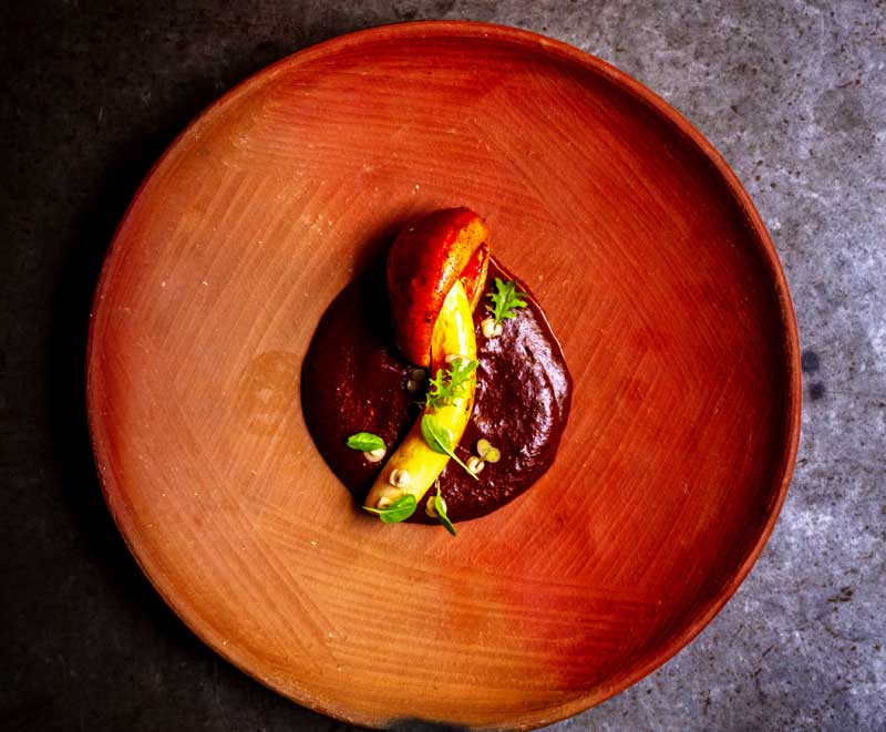 Caesar's mushroom with mushroom mole, kinako cream, and sprouts.