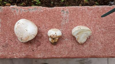 Picture from all sides