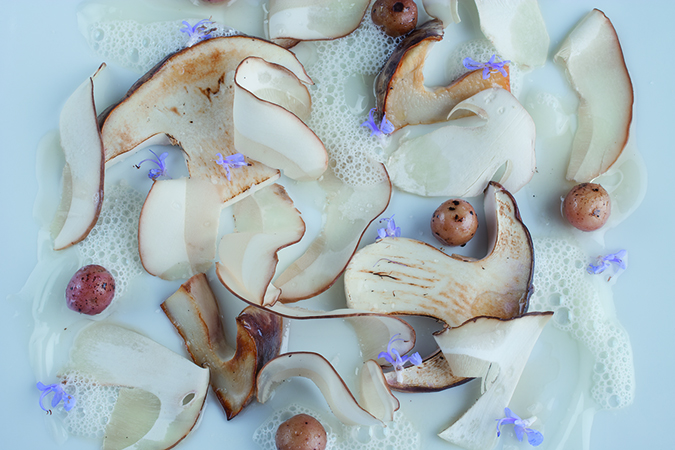 Ceps in various textures and temperatures