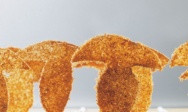 Ceps mushroom with ceps croquant