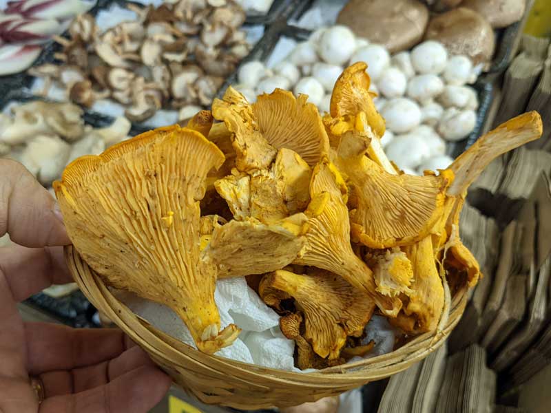 Chanterelle mushrooms