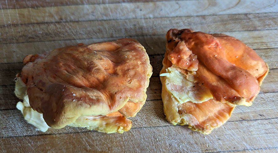 Chicken of the Woods on a cutting board