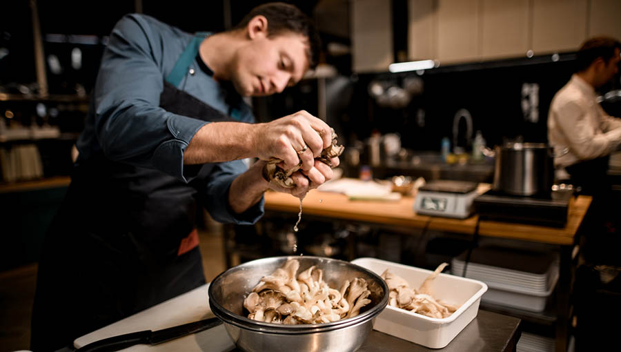 contemporary mushroom cuisine