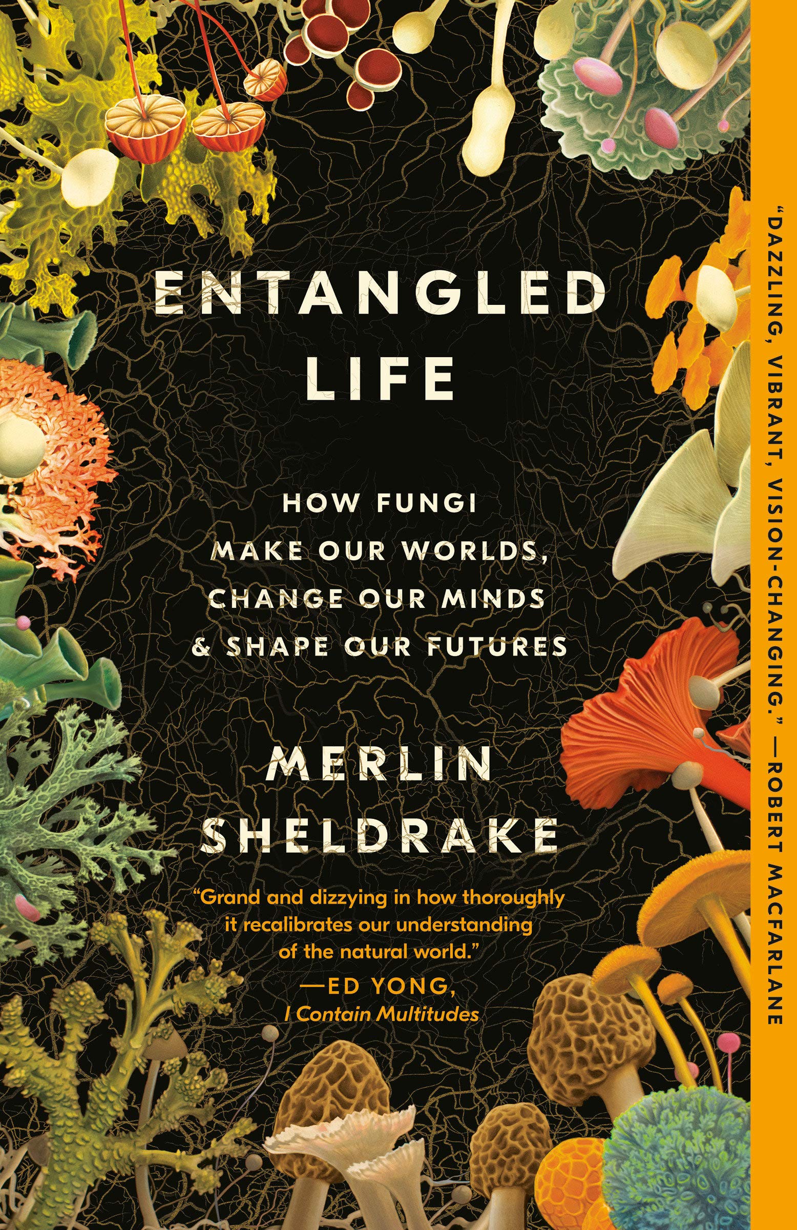 Entangled Life: How Fungi Make our Worlds, Change our Minds & Shape our Futures, by Merlin Sheldrake.