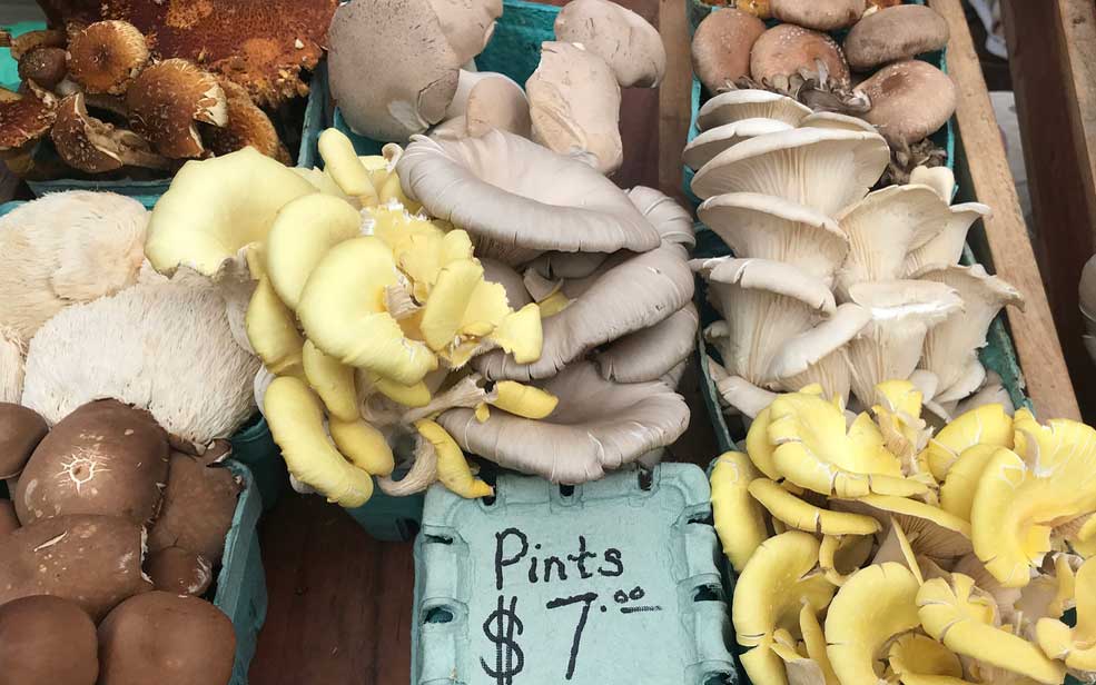 Mushrooms on display at farmers' market