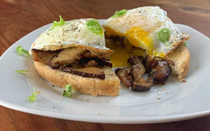 egg and mushroom on toast