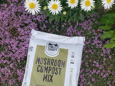 Mushroom compost for your garden