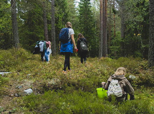 learn group in woods 400