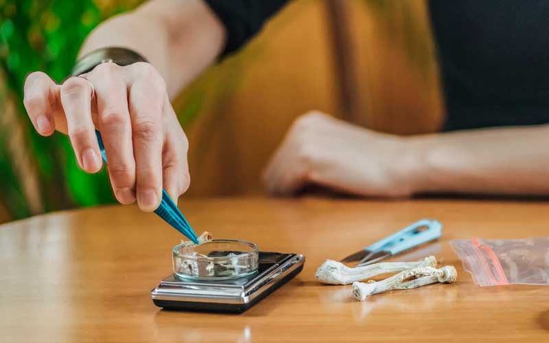 Weighing magic mushrooms before micro-dosing.