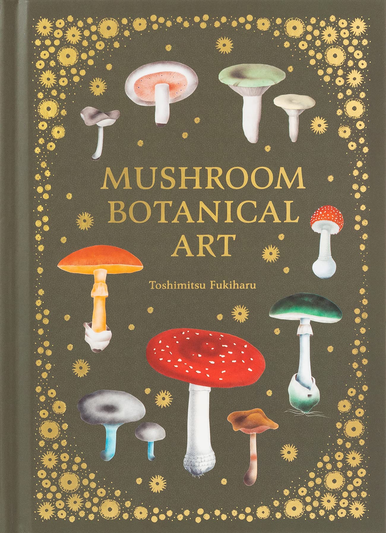 Mushroom Botanical Art, by Toshimitsu Fukihara
