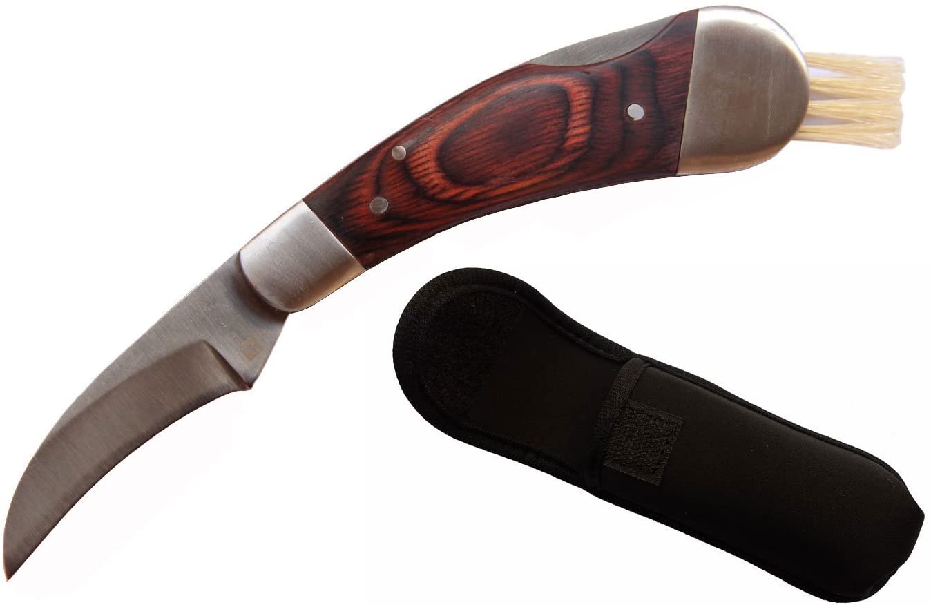 Outdoor Folding Mushroom Knife