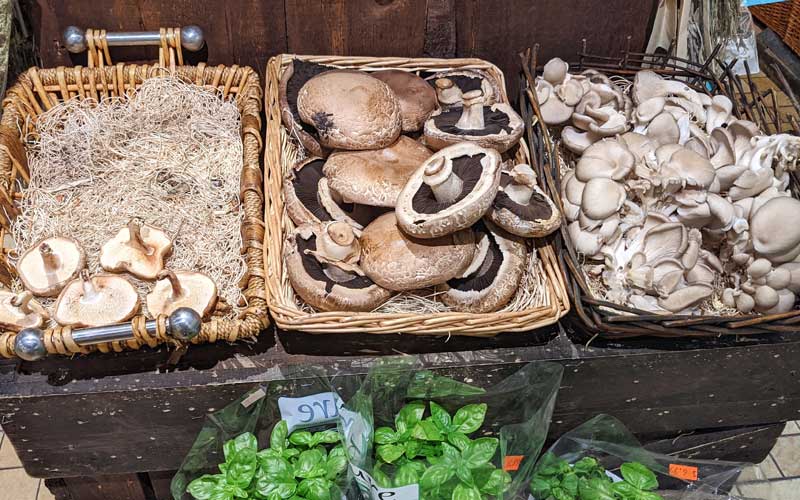 More wild mushrooms are becoming available in local stores.