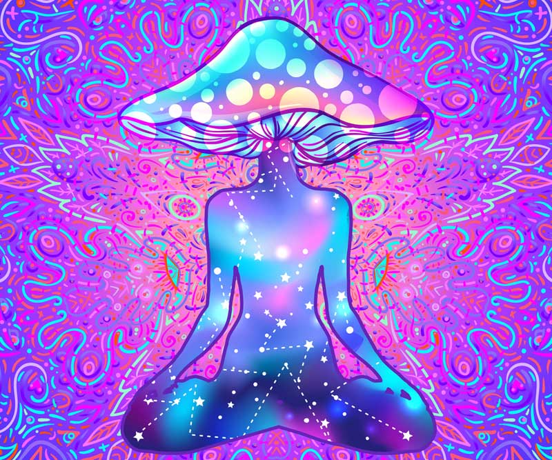 Psychedelic experiences with magic mushrooms