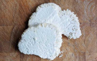 Slices of Lion's Mane mushroom