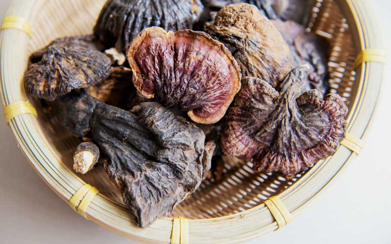 Reishi mushrooms in a basket Reishi mushrooms in a basket