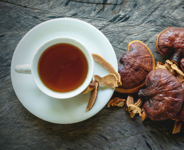 reishi tea small
