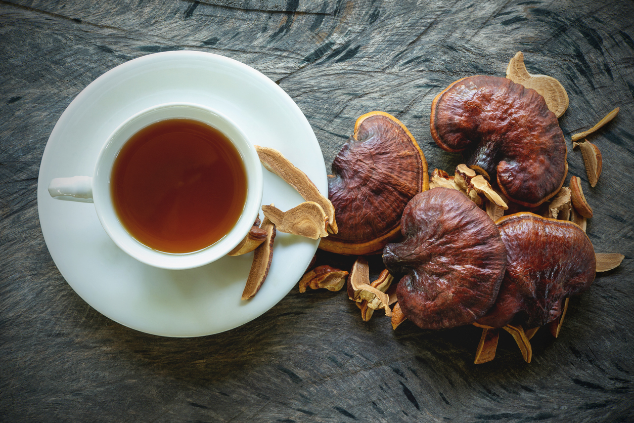 reishi tea