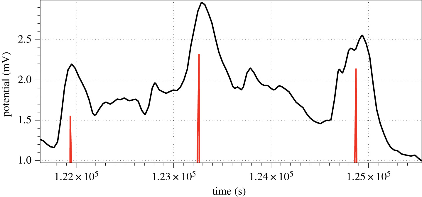Graph: Example of Fungal Spike Detection – A. Adamatzky, 2022