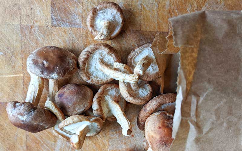Shiitake mushrooms on a cutting board, ready to be prepared.