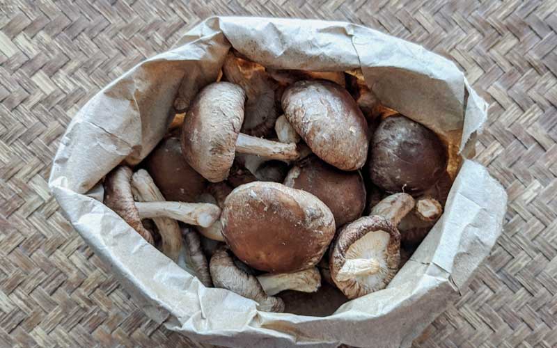 Mushrooms stored in a paper bag