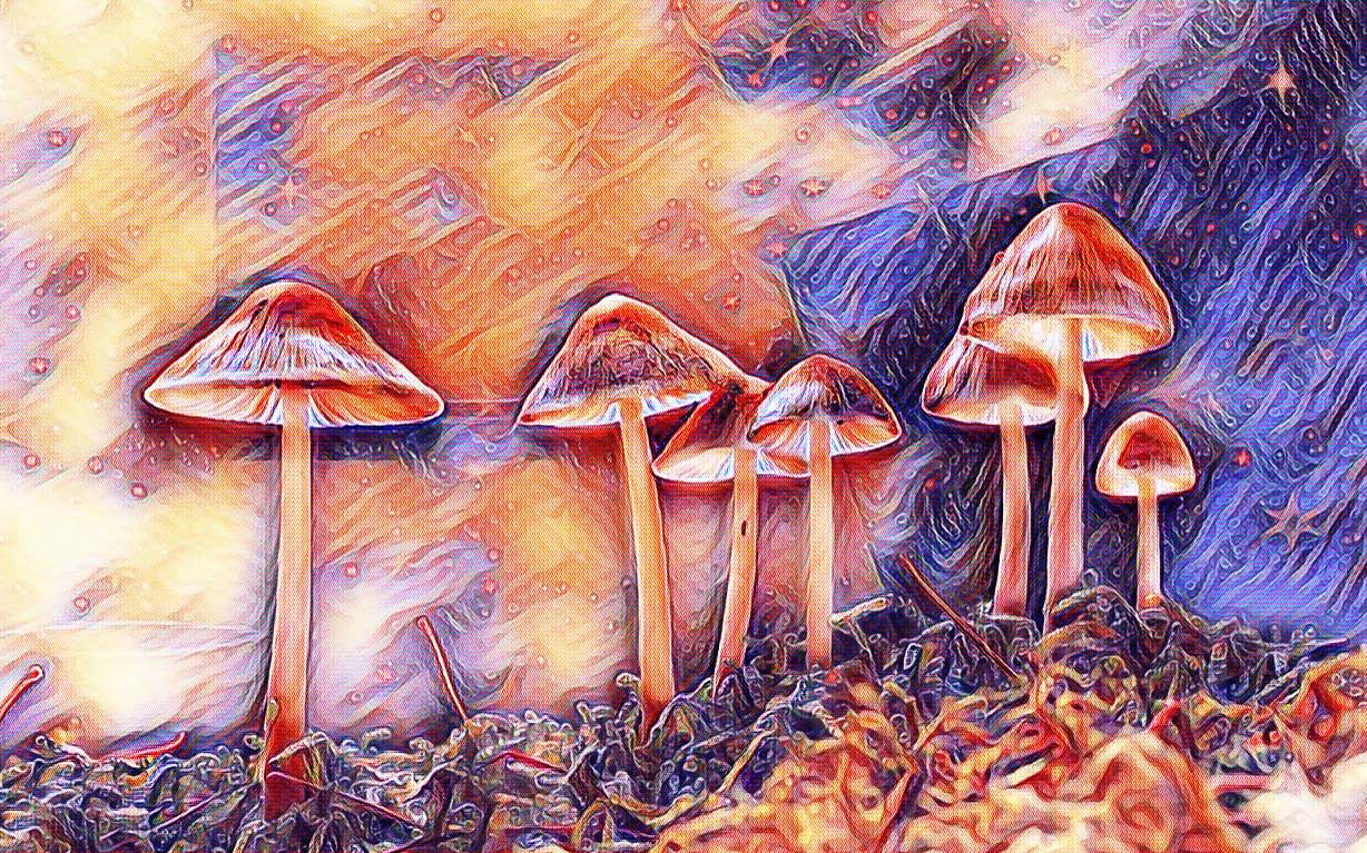 Magic mushrooms have a rich history going back thousands of years