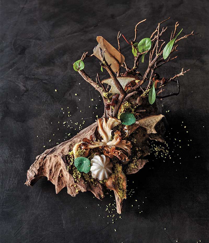 A Walk in the Forest... a unique dish where mushrooms take center stage