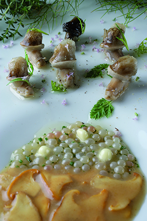 White caviar with snails and chanterelle mushrooms